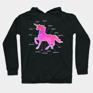 Unicorn Anatomy Hoodie